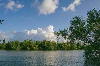 中国女排新任队长首秀惊艳全场，中国女排新任队长首秀惊艳全场是哪一年